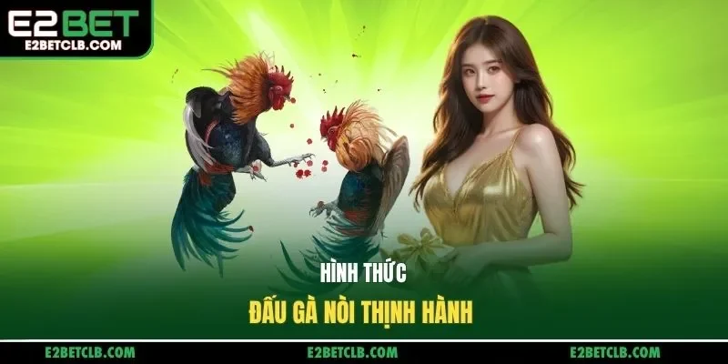 Hình thức đấu gà nòi thịnh hành 
